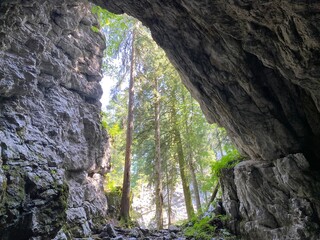 Pigeon cave in the forest park Golubinjak, Sleme - Gorski kotar, Croatia (Golubinja spilja u park šumi Golubinjak, Sleme - Gorski kotar, Hrvatska)