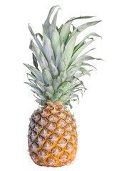 Fototapeta premium ripe pineapple with green crown isolated on white background