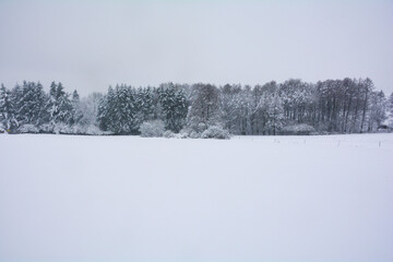 Winter landscape with a lot of snow and trees