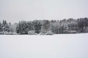 Winter landscape with a lot of snow and a row of trees