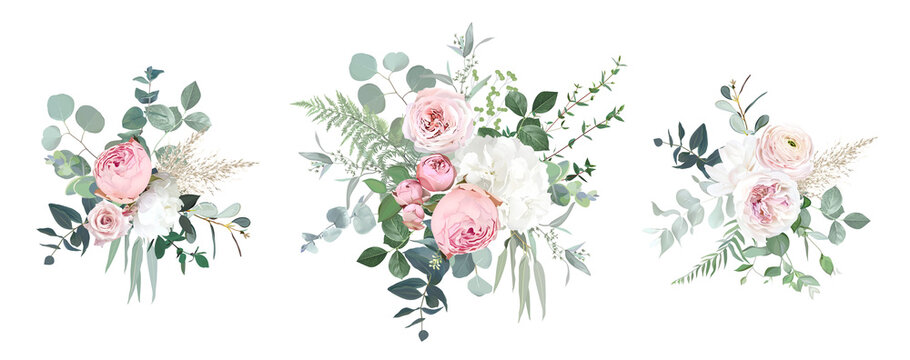 Blush pink garden roses, ranunculus, hydrangea flowers vector design bouquets. Wedding floral and greenery. Mint, pink, beige, green tones. Watercolor flowers. Summer style. Elements are isolated