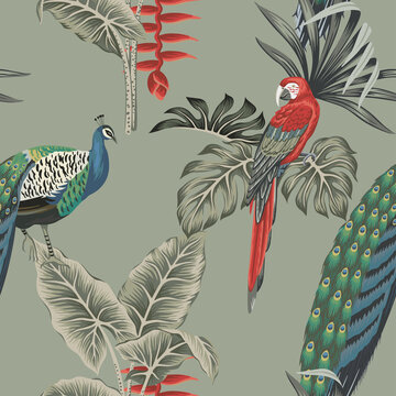 Tropical vintage macaw parrot, peacock bird, palm leaves floral seamless pattern grey background. Exotic jungle wallpaper.