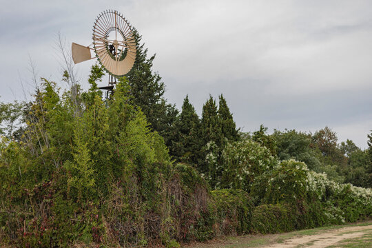 Cream coloured windmill in the vineyards of the Southern Rhone