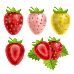 Set of Strawberries, illustration of a Cartoon Style, Strawberry on white background, vector format