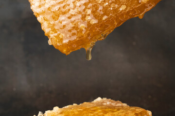 Honeycomb, textured with Golden organic honey, in sunlight, on black background. Drops of honey flow down the combs close-up