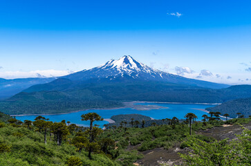 Fototapeta premium View of Llaima Volcano from the Sierra Nevada path in Conguillio National Park