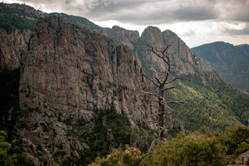 Fototapeta na wymiar Mountain view with trees and rocks