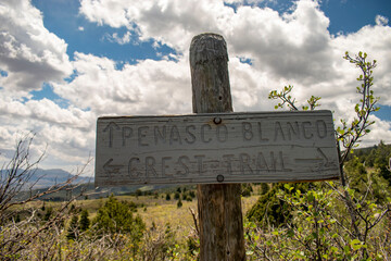trail sign with arrows crest trail penasco blanco