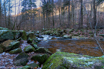 river in the forest (Harz, Germany)