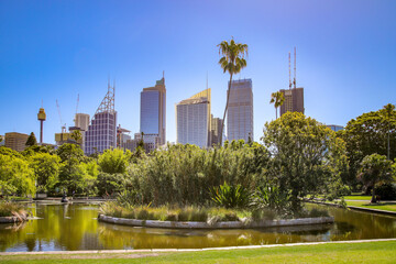 Fototapeta na wymiar Royal Botanic Gardens Sydney mit Blick auf Hochhäuser