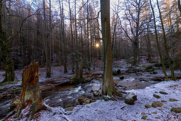 river in the forest (Harz, Germany)