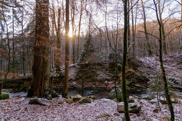 sunny forest with a river in winter (Harz, Germany)