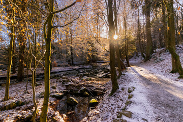 sunny forest with a river in winter (Harz, Germany)