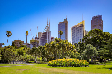 Royal Botanic Gardens Sydney mit Blick auf die Skyline © cocopix