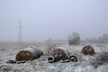 Countryside in winter misty and snowy scenery. Hay bales lie in a snow-covered field.