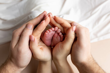 Little feet of a newborn baby girl in the hands of father and mother on a pink background. baby...
