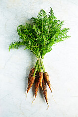 Fototapeta premium Bunch of fresh organic carrots from garden. Top view