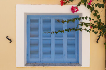Old wooden blue color window shutters of an mediterranean house. Vintage background. A flowering plant winds along the wall. Copy space