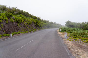 Fototapeta na wymiar Empty road between bushes