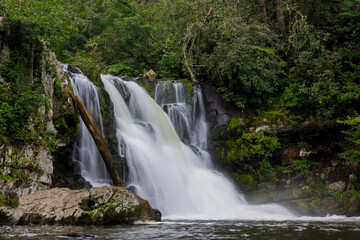 Fototapeta na wymiar Abrams Falls in Great Smoky Mountains National Park