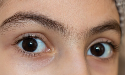 Eyes of little girl. Close up view of beautiful eyes of a young girl