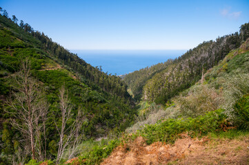 Spectacular panoramic view of Funchal, capitol of Madeira from mountain top.