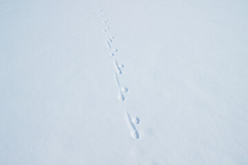 footprints in the snow background