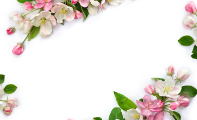 Frame of flowers apple tree, pink and white blossom on a white background with space for text. Top view, flat lay