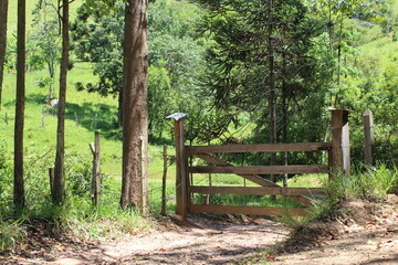 A gate in the countryside