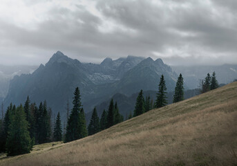 Tatry