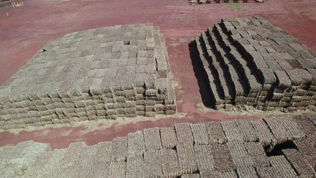 Sugarcane Bagasse. Bagasse is the fibrous matter that remains after sugarcane stalks are crushed. Bagasse is used as a biofuel and in the manufacture of pulp and building materials. Aerial view. 4K.