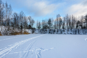 Obraz premium Winter landscape with trees and a lake in the Leningrad region.