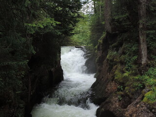 Wild river in the mountains