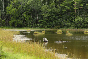 Section of Great Bay, Durham Point, Durham, NH  USA