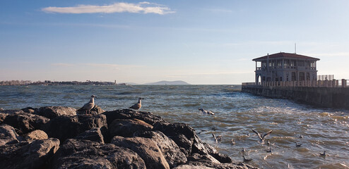 Moda Pier in Kadıköy, İstanbul with seagulls in front