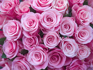 Obraz na płótnie Canvas Bouquet of beautiful pink roses