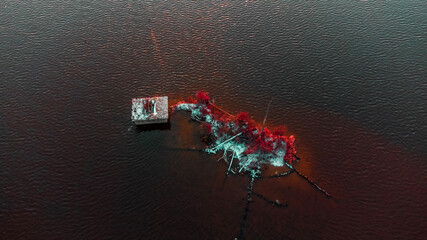 falling snow falling