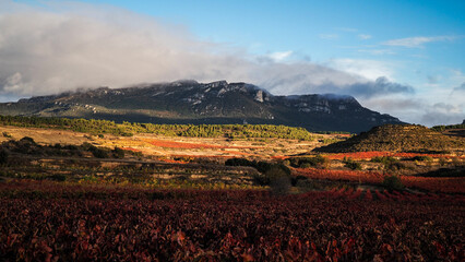 La Rioja is a province and autonomous community in northern Spain with a renowned local wine industry. 