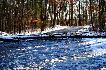 Snow Fallen Tree Road Hazard