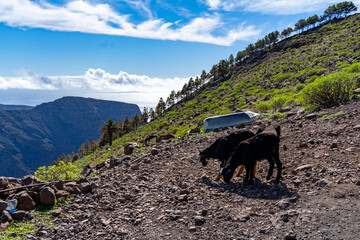 Arure, La Gomera, Valle Gran Rey