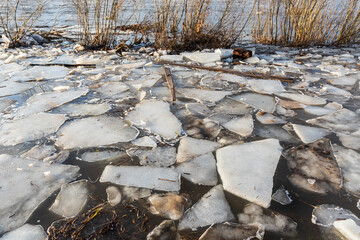 Close up view of ice and wood drift on the frozen river. Melting ice. Flooded road. Concept of spring floods