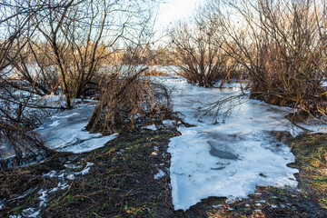 Close up view of ice drift on the frozen river. Melting ice. Pieces of ice have formed near the bushes. Concept of spring floods