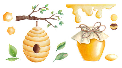 Summer honey elements; hive, honeycomb, branch, leave and jar of honey. Watercolor illustration for children's and home textiles, garden decor, wrapping paper.