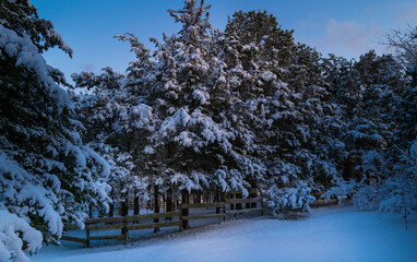 Fototapety na wymiar - Fototapeta24.pl