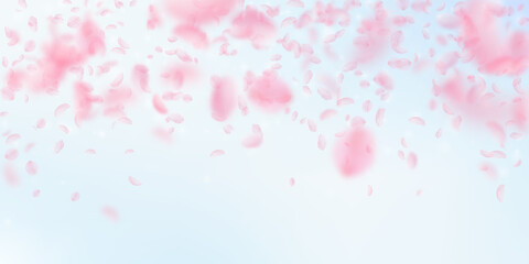 Sakura petals falling down. Romantic pink flowers falling rain. Flying petals on blue sky wide background. Love, romance concept. Ideal wedding invitation.