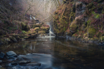 waterfall in autumn forest