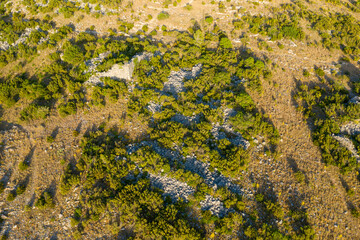 The summit with remains of Chateau de Opoul Perillos in Europe, France, Occitanie, Pyrenees Orientales in summer on a sunny day.