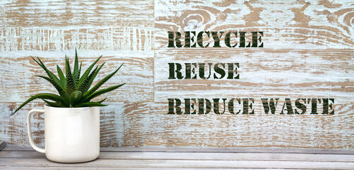 Real reused, recycled mug as plant pots for succulent with recycle reuse reduce waste text on wooden background