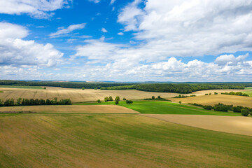 Obraz premium The magnificent French countryside and its fields of yellow and green wheat in Europe, France, Burgundy, Nievre, in summer, on a sunny day.