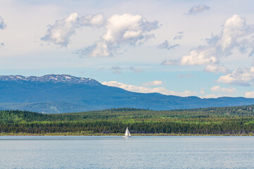 Boreal forest of Canada with huge open lake in summer time with sail boat on scenic backdrop,...